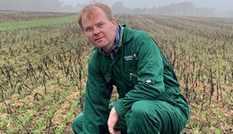 Changing crop establishment for soil health benefits